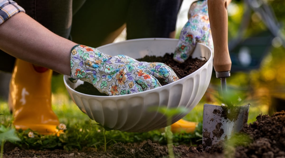 A woman is seen handling soil fertilizing with compost in a white bed for planting. She is wearing a pair of garden gloves with a graphic flower design. A small garden shovel with a wooden handle is stuck in the soil right beneath the plant bed.