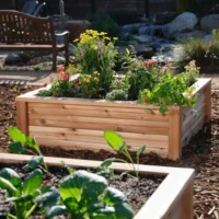Cedar Raised Garden Bed in Use